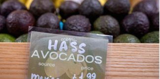 *من الأفوكادو إلى السيارات.. اليكم أبرز المنتجات المرشحة لارتفاع أسعارها بسبب رسوم ترمب*