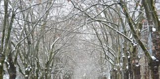 الطرقات الجبلية المقطوعة بسبب تراكم الثلوج