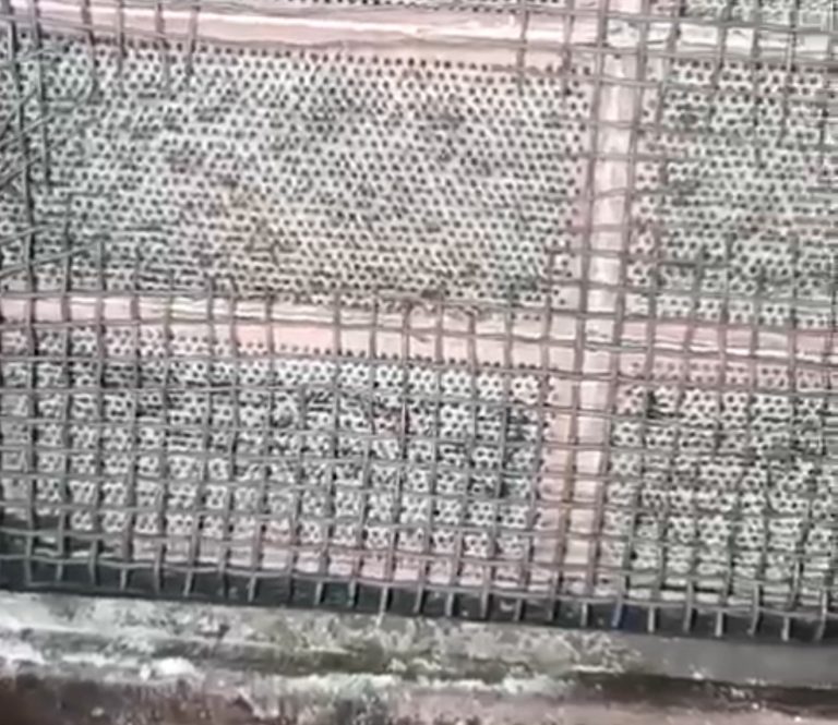 *محضر ضبط بحق مطعم في صيدا…والسبب!*