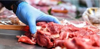 *نقابة القصابين في البقاع”: نستلهم من مدرسة السيد نصرالله’ الثبات على طريق الحق*