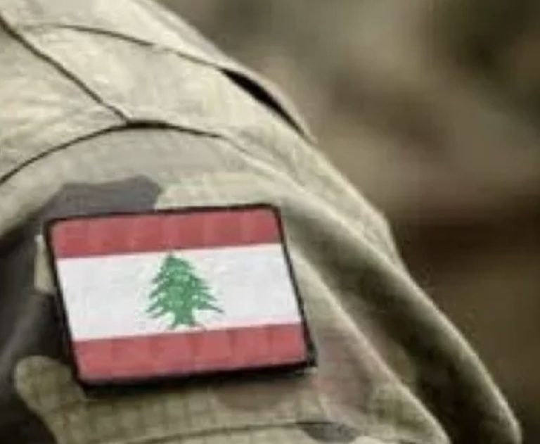 *الجيش: توقيف مطلوب في منطقة خلدة*
