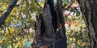 *بالصور ؛ تفكيك جهازَي تجسس عائدَين للعدو’ الإسرائيلي’ في خراج بلدة كفرشوبا*