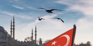 *وزير الخارجية التركي: نأمل أن يستمر وقف إطلاق النار في غزة في المرحلة الثانية*