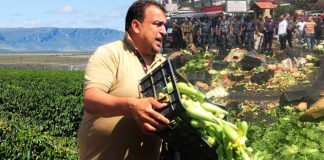 ظاهرة تهريب المنتجات الزراعية إلى ناشطة عبر مسارب الحدود اللبنانية -السورية!