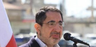 *الحاج حسن: المقاومة’ و”حزب الله” تعافيا*