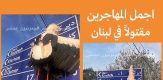 اللقلق الأبيض ضحية الصيد العشوائي والتفلت..