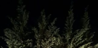 غارة من مسيرة إستهدفت سيارة في بلدة ياطر و معلومات عن وقوع إصابات