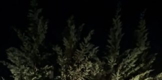 الصحة : استشهاد مواطن وجرح آخر في ياطر