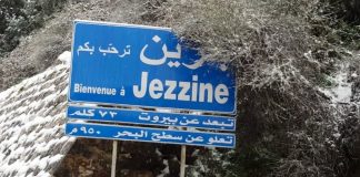 اصابة 3 اشخاص جراء اطلاق مسلحين النار على ملحمة في القطراني – جزين