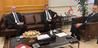 رسامني اطلع من رئيس CMA CGM على مشاريع المجموعة في لبنان والعالم