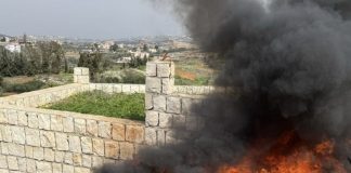 *مسؤول إسرائيلي’ يزعم: قتلنا’ شخصية محورية في قوة الرضوان بحز. ب الله بغارة’ على جنوب لبنان*