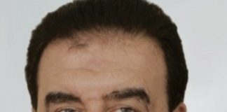 *البعريني: قطع الأشجار في عكار جريمة ونناشد الاجهزة المعنية التدخل السريع*