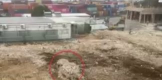 *ما هي حقيقة خبر اكتشاف المقبرة الجماعية في الكرنتينا؟*