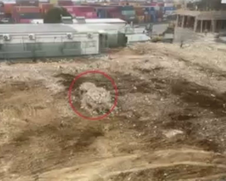 *ما هي حقيقة خبر اكتشاف المقبرة الجماعية في الكرنتينا؟*
