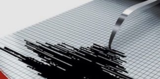 *هزة أرضية بقوة 4,6 درجات تضرب شمال أرمينيا*