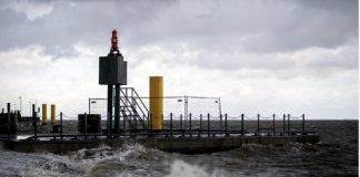 *الإعصار ألفريد يضرب الساحل الشرقي لأستراليا: دمار واسع وانقطاع الكهرباء*