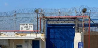 أسرى محررون: سجون إسرائيل أكبر مسلخ في العالم