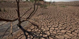 وزارة الزراعة تدعو إلى ترشيد استهلاك المياه في ظل شح الأمطار