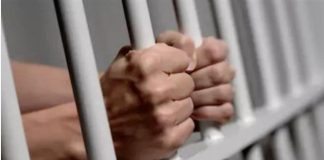 توقيف مطلوبين في الشمال بالتزامن مع خطة أمنية