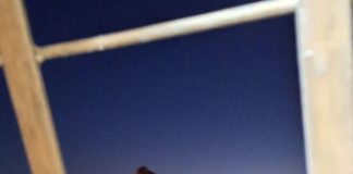 غارات إسرائيلية على مقرات الفرقة الأولى في محيط مدينة الكسوة بريف دمشق واستهداف ثاني من قبل الطائرات الحربية للاحتلال الصهيوني حيث نفذت عدد من الغارات الجوية على اللواء 75 في بلدة المقيليبة بريف دمشق