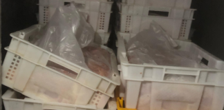 الجمارك: ضبط 5.7 أطنان من الدجاج المهرّب