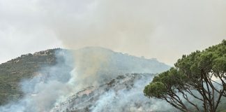 بالصورة : الحرائق تلتهم وديان بلدة رمحالا/عاليه منذ الصباح وامتداد النيران الى عدة جهات والدفاع المدني يواجه صعوبة كبيرة في الاخماد بسبب سرعة الرياح