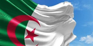 الجيش الجزائري أسقط “طائرة استطلاع مسيرة مسلحة”