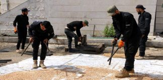 ضبط كميات كبيرة من “الكبتاغون” داخل مرفأ اللاذقية