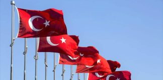 أكثر من 175 ألف لاجئ سوري في تركيا عادوا إلى بلدهم منذ سقوط الأسد