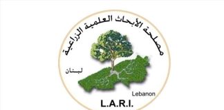 مصلحة الأبحاث الزراعية حذرت من ارتفاع مؤشر الحرائق في ظل انحسار الأمطار