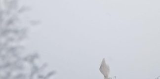 بالصور- “أبيض الشعانين” في لبنان… متى ينحسر المنخفض الجوي؟