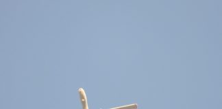 مسيرة إسرائيلية من نوع هيرمز 900 تحلق على علو منخفض فوق أجواء عدد من البلدات الجنوبية