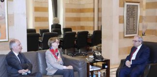 سلام يبحث مع السفير الفرنسي مستجدات لبنان والمنطقة