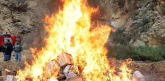 مكتب مكافحة المخدرات المركزي يتلف مئات الكيلوغرامات من المخدرات المضبوطة في بصاليم- المتن