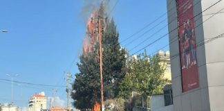 إحتكاك كهربائي وحريق على أوتوستراد جونية!