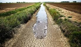 لبنان تحت وطأة أسوأ موجة جفاف منذ أكثر من 65 عاماً!