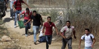 إنخفاض عدد النازحين السوريين من الساحل إلى شمال لبنان