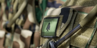 رسالة قوية من الجيش إلى “حماس” في لبنان.. هذه تفاصيلها