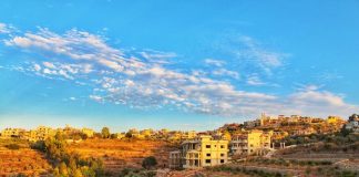 إصابة مواطن بعد إلقاء محلقة إسرائيلية قنبلة على مجدلزون جنوبي لبنان