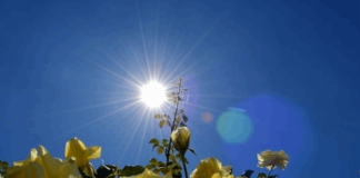 طقس ربيعيّ دافئ ومستقر…