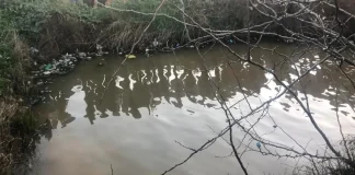 قضيا غرقاً في بركة زراعية