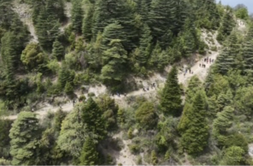 *الريجي تحتفل بعيد العمال وتأسيس إدارة الحصر برحلة مشي وزرع أرز في محمية حرش إهدن*