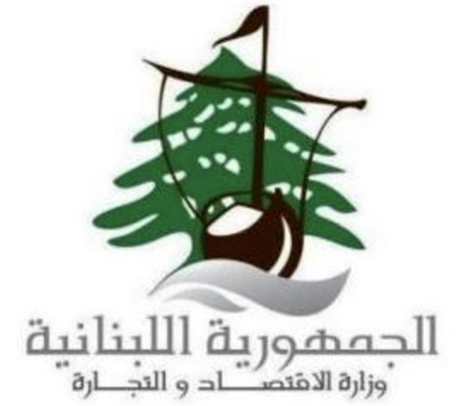 *15 محضر ضبط جنوبا في حق أصحاب مولدات مخالفين لتسعيرة وزارة الطاقة*