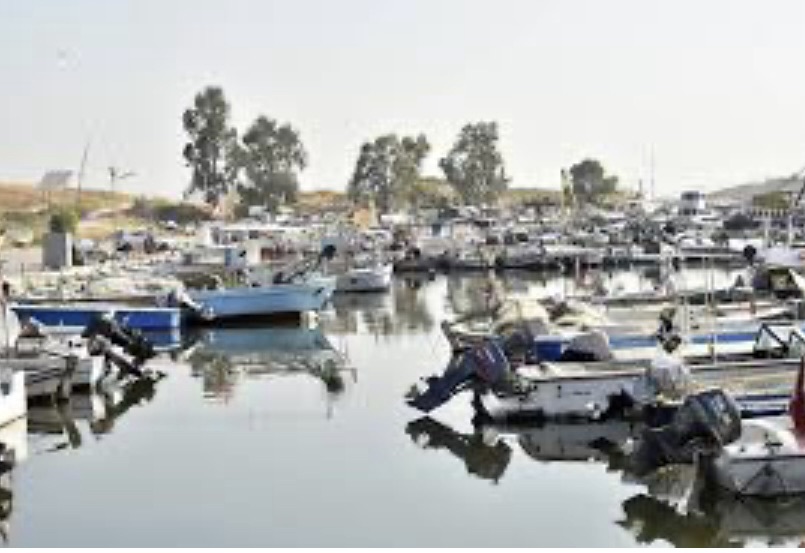 *وزارة الزراعة: مصادرة كميات من الأسماك المخالفة في مرفأي الدورة والأوزاعي*