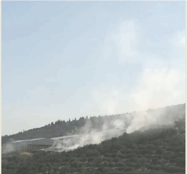 *حريق في معمل فرز النفايات في المنية*