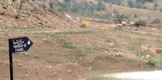 إقتراحٌ أميركي جديد: مزارع شبعا بديلاً عن التطبيع!