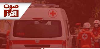 وفاة طفل في لبنان نتيجة إصابته بالتهاب السحايا الجرثومي…