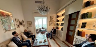 أرسلان عرض وجنبلاط لأوضاع الدروز في سوريا