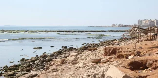 الجيش اللبناني يحبط عملية تهريب غير شرعية عند شاطىء طرابلس