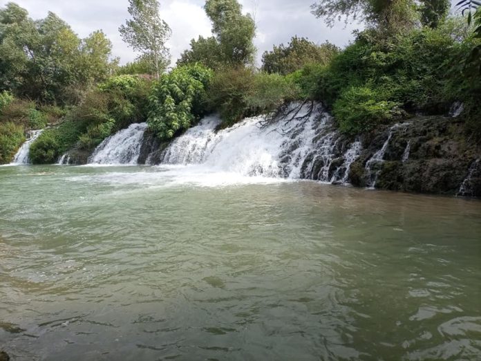 229310536_1154518125046611_5086725419530998386_n_095913